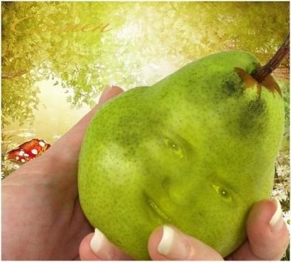 Facem un fruct cu o față umană în Photoshop