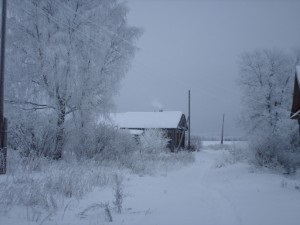 Portalul satului - să ne cunoaștem sau să trăim în sat