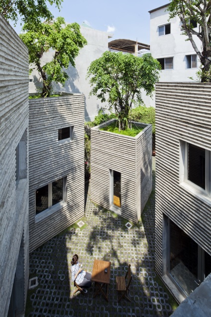 Copacii cresc pe acoperișurile unei case vietnameze, construită de arhitecți din trong nghia, un portal despre