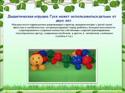 Joc didactic de gâscă poate fi utilizat de copii de la doi ani - prezentare 154209-2