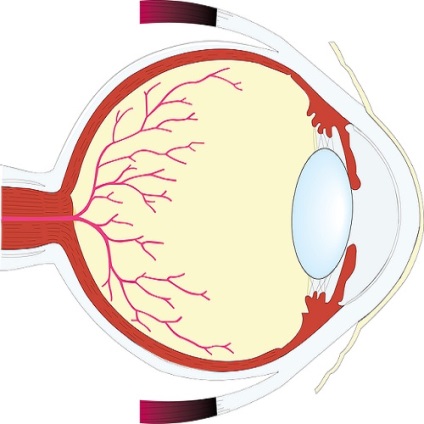 Simptomele distrofiei retinale, ce este?