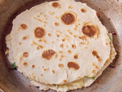 Acasă quesadilla cu brânză