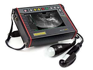 Draminski Detector de sarcină cu ultrasunete pentru ovine și caprine