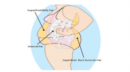 Mod eficient pentru a scăpa de grăsime în jurul abdomenului