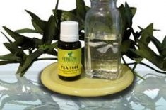 Uleiuri esențiale din acnee, ulei de arbore de ceai de la acnee, ca fiind cel mai eficient dintre ele
