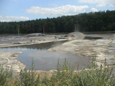 Ecobiotehnologia microzimei (tm) decontaminarea și utilizarea gunoiului de porc, a gunoiului de pasăre, a curățării