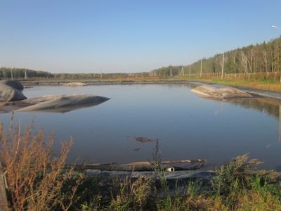 Екобіотехнологія Мікрозім (tm) знешкодження і утилізація свинячого гною, пташиного посліду, очищення