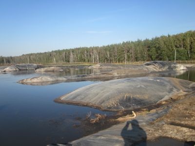 Ecobiotehnologia microzimei (tm) decontaminarea și utilizarea gunoiului de porc, a gunoiului de pasăre, a curățării