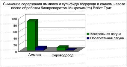 Ecobiotehnologia microzimei (tm) decontaminarea și utilizarea gunoiului de porc, a gunoiului de pasăre, a curățării