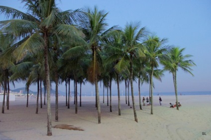 Excursie la cele mai sărace zone din Rio de Janeiro