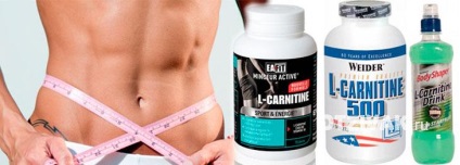 Elkarnitin pentru scăderea în greutate (l-carnitină, l-carnitină)