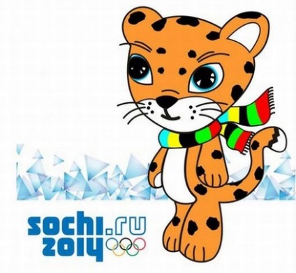 Emblema, simbolul și logo-ul Olimpiadei de la Soci 2014 (fotografii tuturor solicitanților), prost