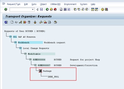 Fibed - a csomag és a szállítási kérelmet sap