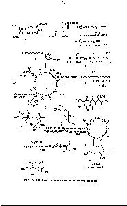 Fitotoxine - cartea de referință chimică 21