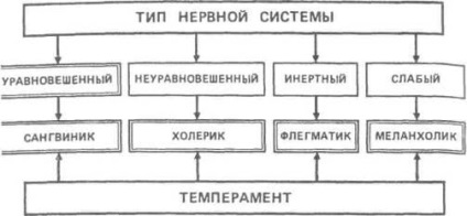 Gamezo, Domashenko și