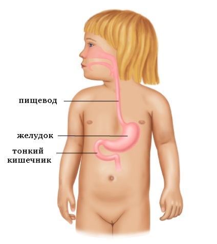 Boala de reflux gastroesofagian (gerb) la copii și adolescenți - medicament bazat pe dovezi pentru toți