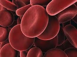 Hematogen увеличава хемоглобин, кръвен тест