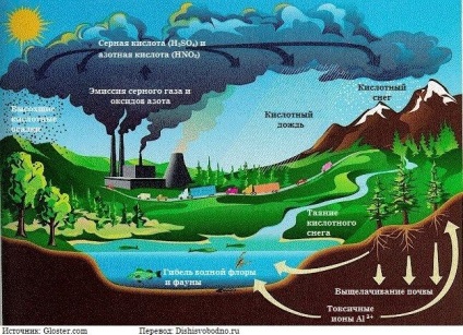 Emisiunea globală de mediu Nr. 5 Contaminarea solului