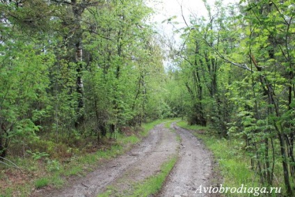 Capace de munte, margine Perm, trambulină