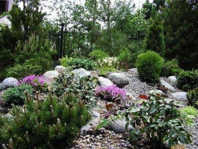 Pietriș grădină - toate ingenios este simplu - vom crea o grădină de pietriș cu mâinile noastre