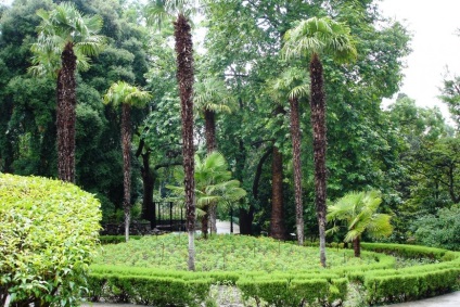 Parcul Gurzuf, Gurzuf