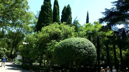 Parcul Gurzuf din satul Gurzuf, voiaj cu Tatyana Vyotka