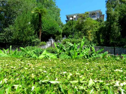 Parcul Gurzuf din satul Gurzuf, voiaj cu Tatyana Vyotka