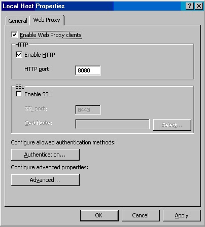 Utilizarea browser-ului pe firewall-ul firewall (2004)