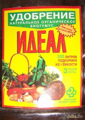 Історія однієї фінікової пальми фауна і флора нашого будинку - жіноча соціальна мережа