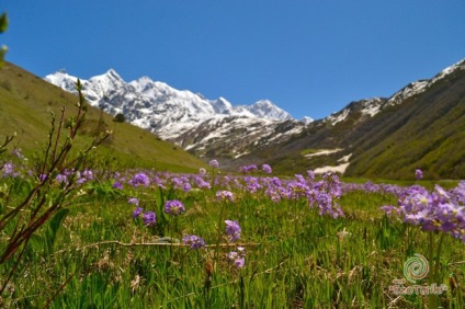 Cum să ajungi în Georgia