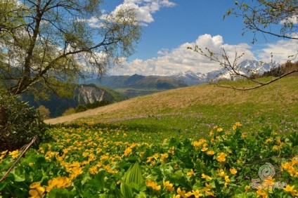 Cum să ajungi în Georgia