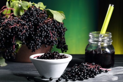 Cum să fii tratat cu elderberry - medicina tradițională