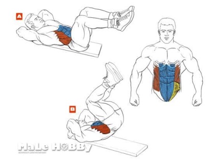 Cum să pompiți mușchii abdominali drepți, exteriori, oblici, laterali și transversali, cum să pompi partea inferioară