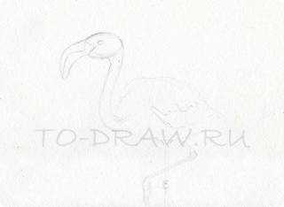Cum de a desena un flamingo în etapa de acuarelă în funcție de păsări