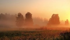 Hogy hívják azt egy utcai zenész játszik több hangszeren egyszerre