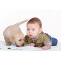 Как да изберем куче за бебешки статии за кучета