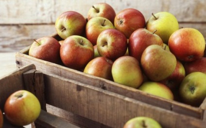 Cum se păstrează merele la domiciliu pentru iarnă