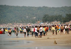 Calangute, Goa