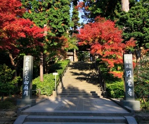 Kamakura - túrákat és kirándulásokat Japán japán cég által voyagejapan