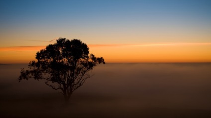 Imagini ale cerului pe timp de noapte fotografie