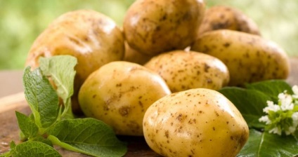 Cartofi (suc, fiert) proprietăți utile și contraindicații