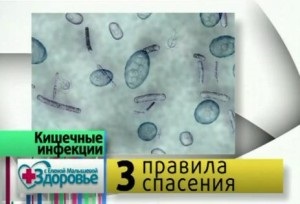 Infecții intestinale la copii, sănătate și sănătoși vii cu un copil verde