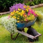 Creați o grădină de flori pe cabana de la vechiul scaun de masterat