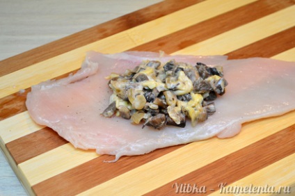 Sacuri de pui cu ciuperci și brânză rețetă cu o fotografie cum să gătești pungile de pui o rețetă pas cu pas