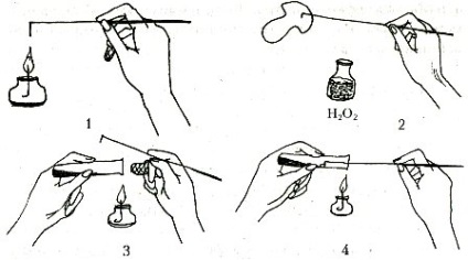 Laboratorul de culturi uterine (LMC)