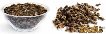 A legjobb receptek méh Podmore az immunrendszerben, fogyás