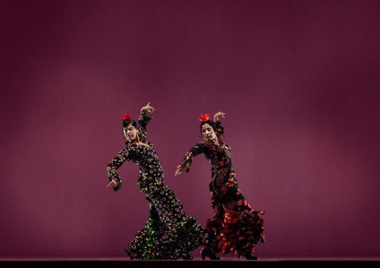 Cele mai bune dansuri - dansurile popoarelor din lume, zapateado dansului incendiar mexican