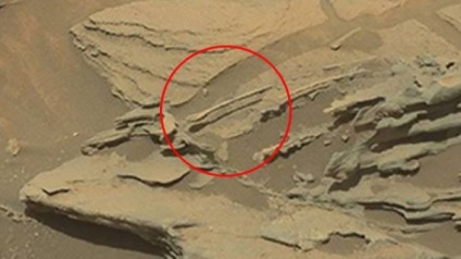 Marte curiozitate a trimis de pe Marte o fotografie a unei linguri în creștere