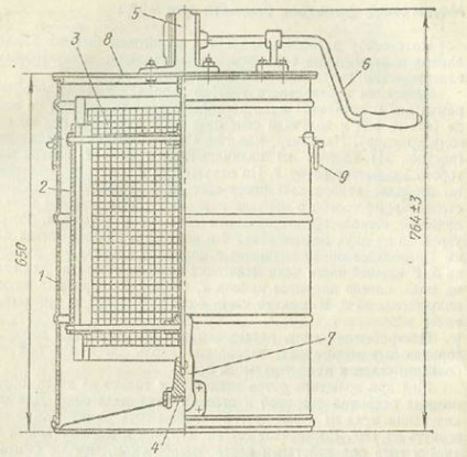 Medodki tip chordial