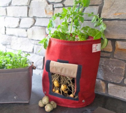 Bag pentru plantarea cartofilor bloembagz pentru a cumpara si pretul